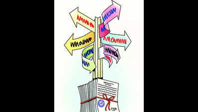 Guidelines issued for delimitation of wards