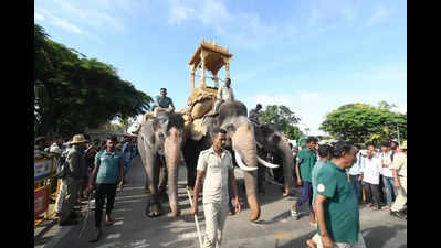 Officials prevent VIP’s son from reaching elephants’ area in Mysuru Palace