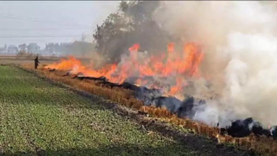 Haryana to take decisive action towards making Haryana a stubble-burning-free state: Chief secretary