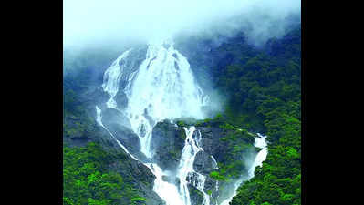 Booking scam at Dudhsagar: Tour operators