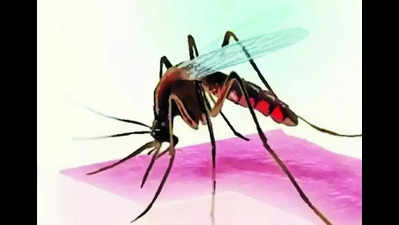 Man with dengue dies in Kaikhali