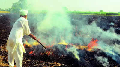 Explain what steps you have taken on stubble burning: Supreme Court to CAQM