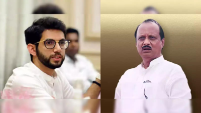 Badlapur school trustees linked to BJP, says Aaditya Thackeray; Ajit Pawar slams opposition for flip-flop on Akshay Shinde encounter