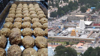 Tirupati Prasadam row: TTD lodges police complaint against AR Dairy Foods for supplying adulterated ghee with animal fats