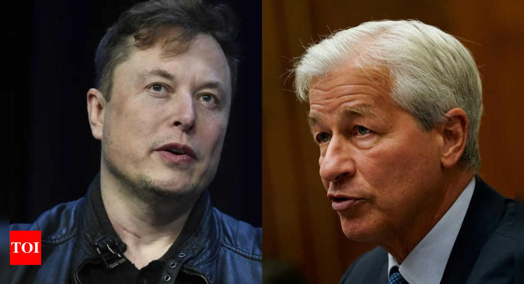 ‘We really need to do it’: JPMorgan CEO backs Elon Musk’s ‘very good idea’ – Times of India