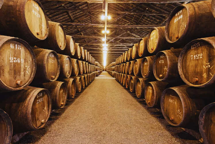 Savour Porto's wine culture