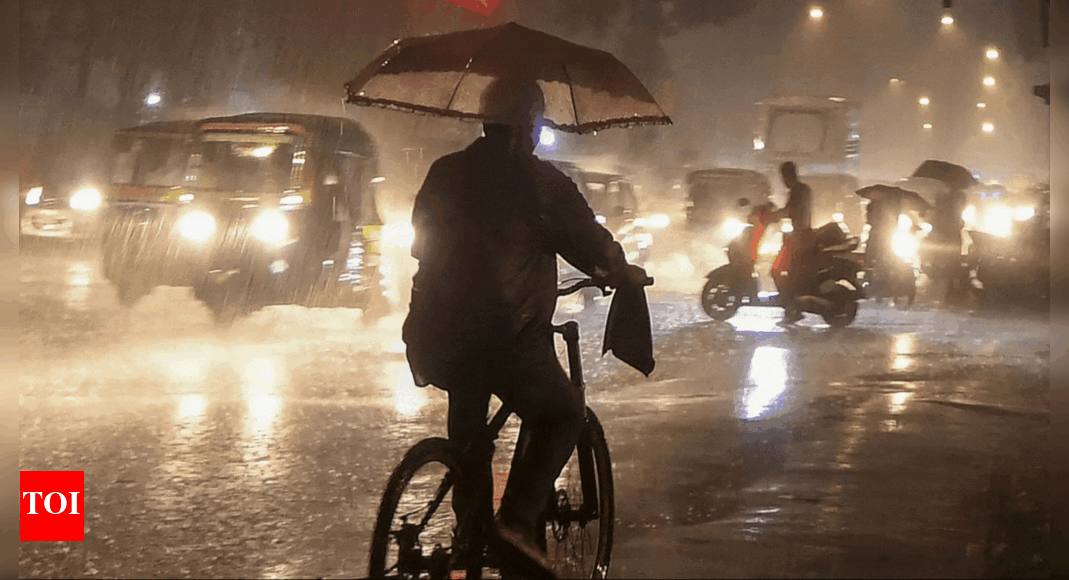 Mumbai rains disrupt traffic: Local trains halted and schools closed ...