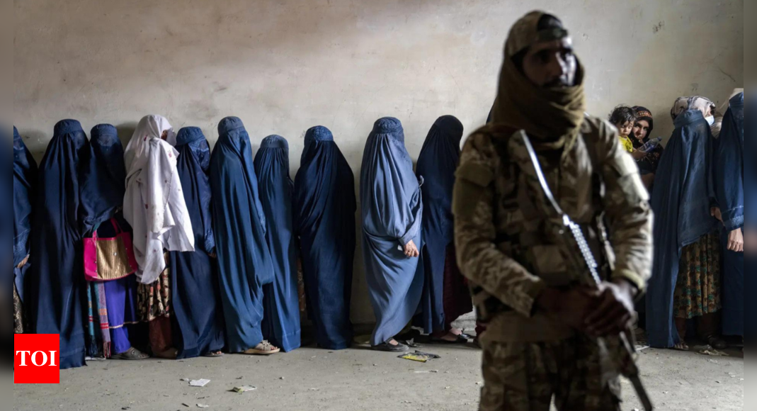 Taliban calls gender discrimination claims ‘absurd’ as four nations push for legal action – Times of India