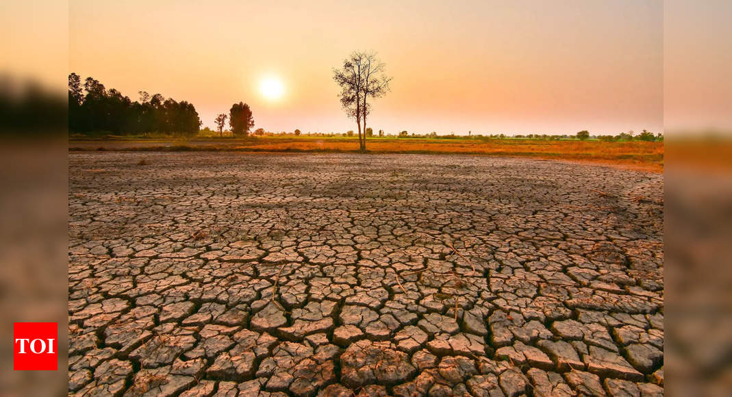 One in two El Nino events could be extreme by 2050, study finds – Times of India