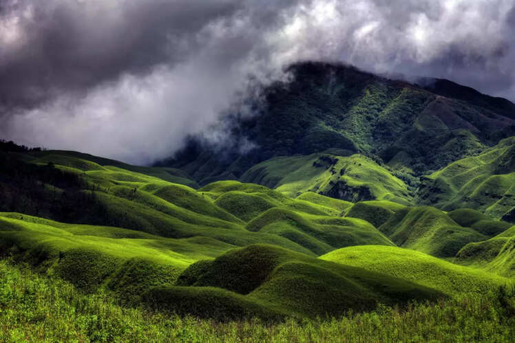 Nagaland