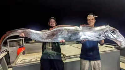 Why are Oarfish called Doomsday Fish and do they really warn of an earthquake