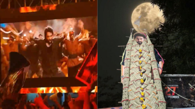 Jr NTR fans celebrate 'Devara: Part 1' release with fireworks, dance, and cutouts