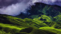 Dzükou Valley, Nagaland/Manipur