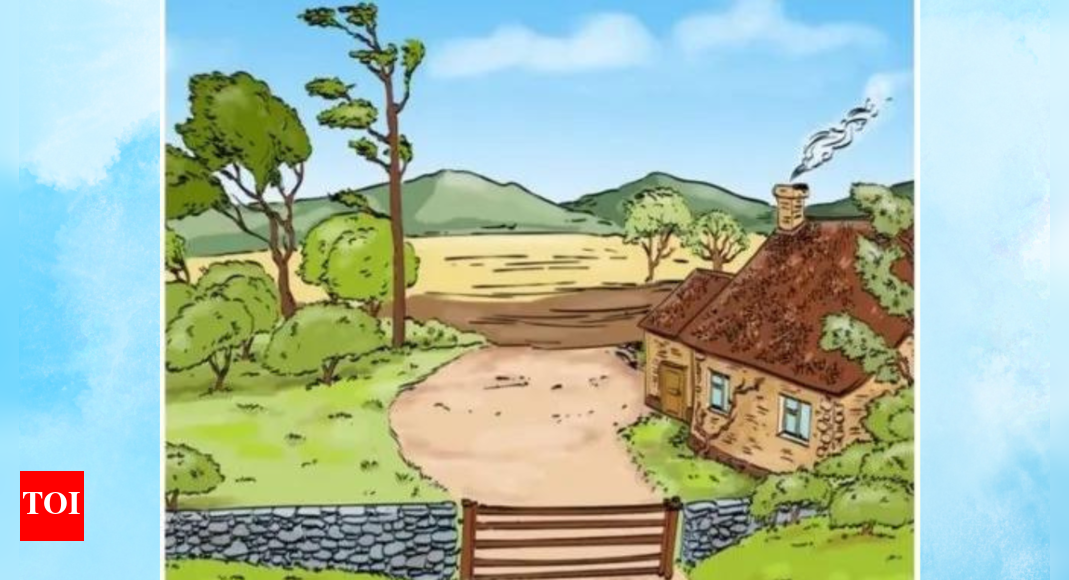 Opticle illusion Take a test Only the smartest in the room can guess