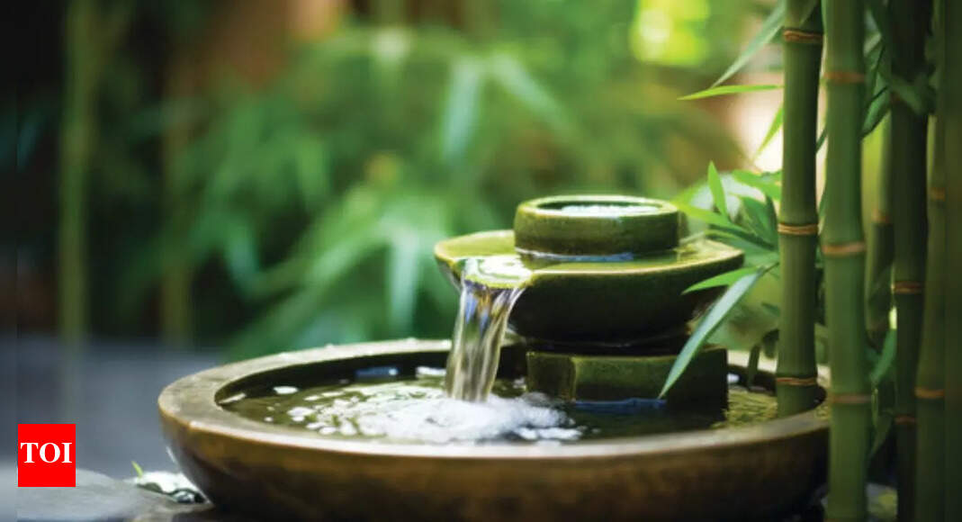 Role of water elements (aquarium, fountain) as per Vastu - Times of India
