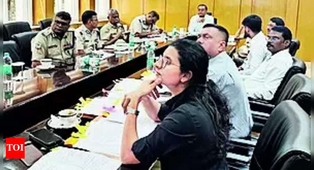 Durga Puja Ensuring Peace and Safety During Durga Puja Government