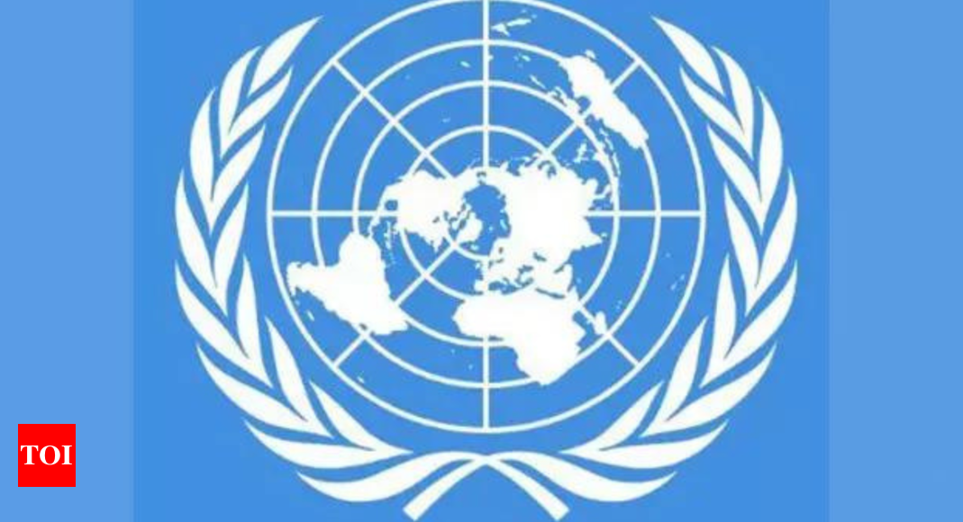 Ready to back Bangladesh reforms: UN – Times of India