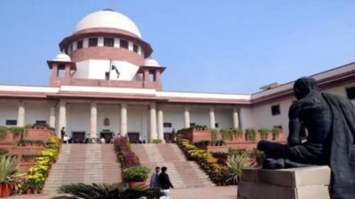 ‘Not required’: SC expunges HC remarks on conversions