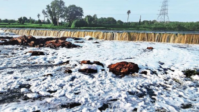 Musi’s tainted waters serve up toxic platter in Hyderabad