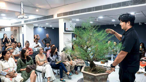Water, sunshine and love: The perfect recipe for bonsai