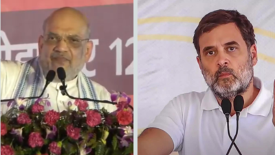 Amit Shah targets Rahul Gandhi at Haryana rally: 'Do you know what MSP stands for?'