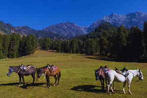 This Kashmiri village should be on your adventure and sustainable travel bucket list