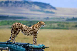 5 game reserves in Africa that should be on your bucket list