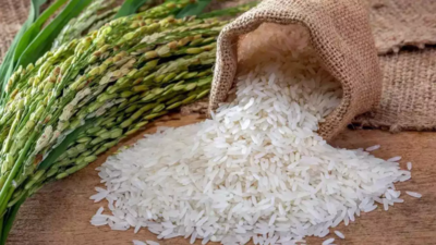 Centre lifts ban on non-basmati white rice export, imposes minimum export price (MEP) of $490/tonne