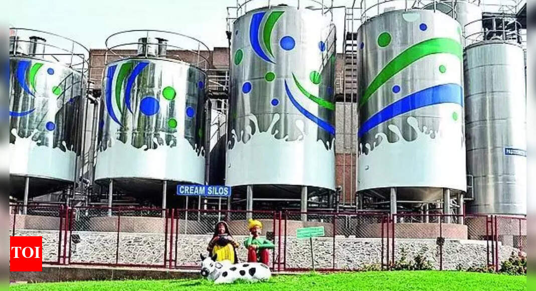 Amul Dairy To Set Up Plants In Ap, Pune, Punjab | Vadodara News - Times ...