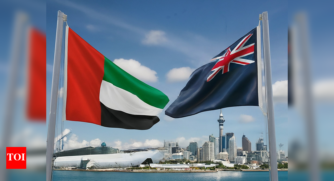 Minister of state for foreign trade leads UAE business delegation to