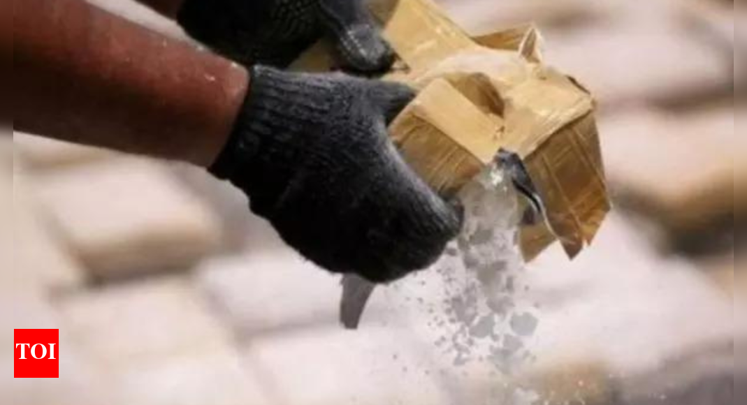 'Order on WhatsApp, nocontact deliveries' How Shimla police unearthed