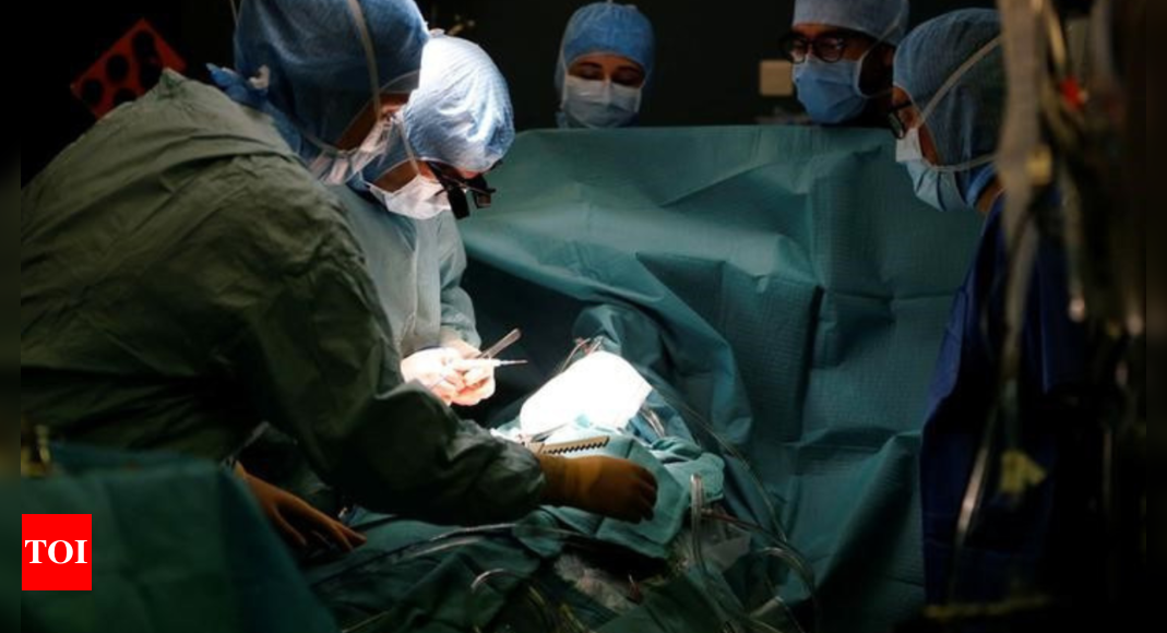 Staff left ‘shocked’ as Florida surgeon mistakenly removes liver instead of spleen, leading to fatality – Times of India