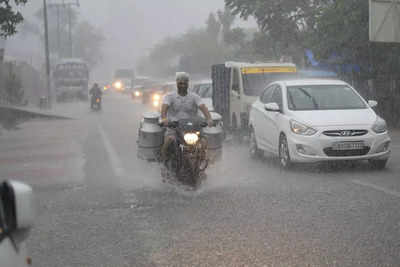 North India logs its best monsoon in 11 years