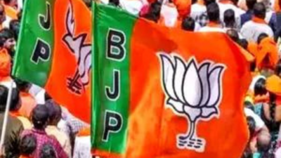 BJP expels ex-minister, 7 other rebels in Haryana