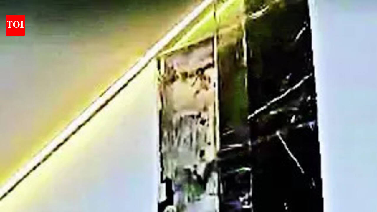 Birthday Celebration Turns Tragic as Tile Falls on Woman and Teen at ...