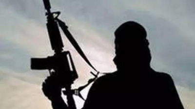 23 terror hits in J&K so far this year, down from 222 in 2014