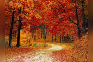 From Kashmir to Kyoto: Most colourful autumn destinations from around the world