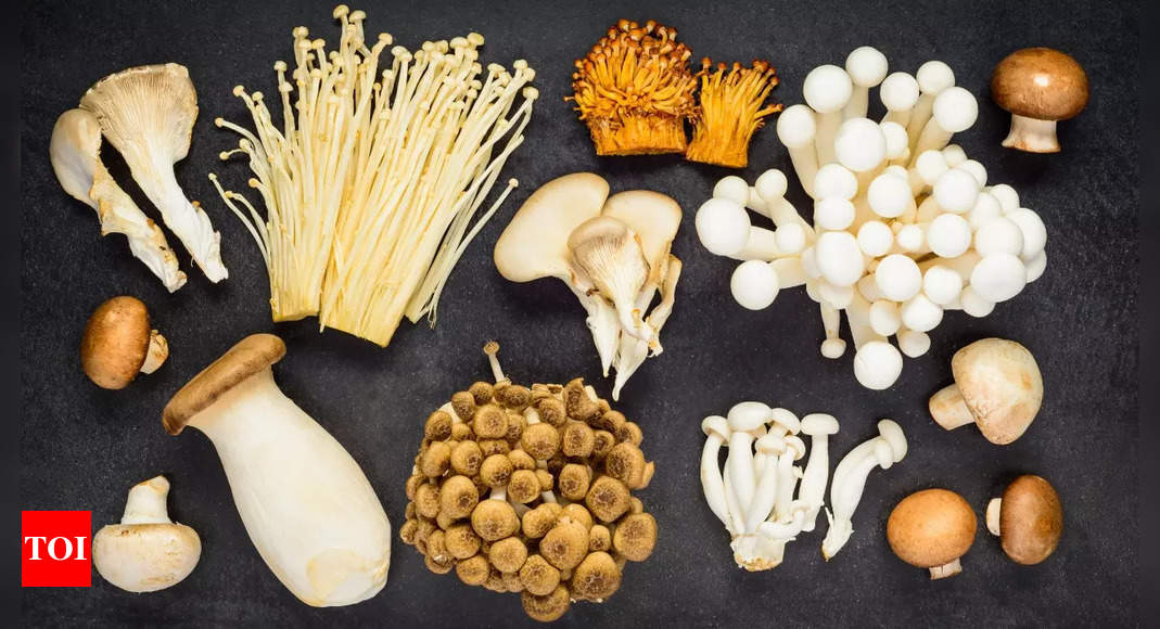 How to double vitamin d in mushrooms? Tips from experts | - Times of India