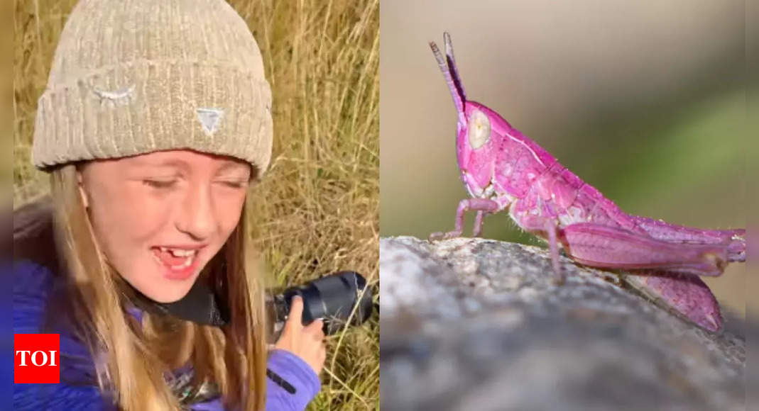 British 8-year-old photographer discovers rare pink grasshopper; Video goes viral