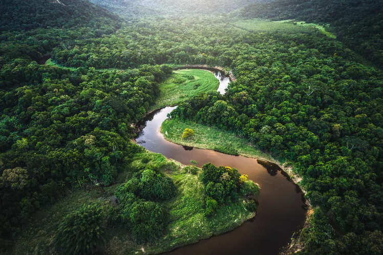 Amazon Rainforest, South America