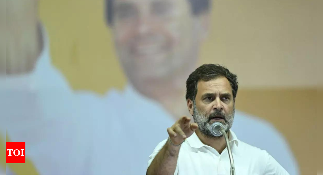 Hearing Adjourned on Rahul Gandhi Citizenship Plea