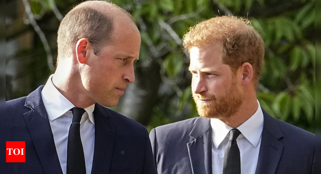 Prince Harry is like mother Diana, seeking to entertain; William always jealous: Ex-bodyguard – Times of India