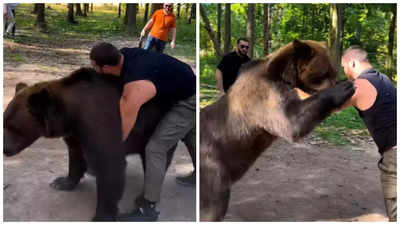 'This is citizenship test': Video of Russian boxer wrestling with bear goes viral