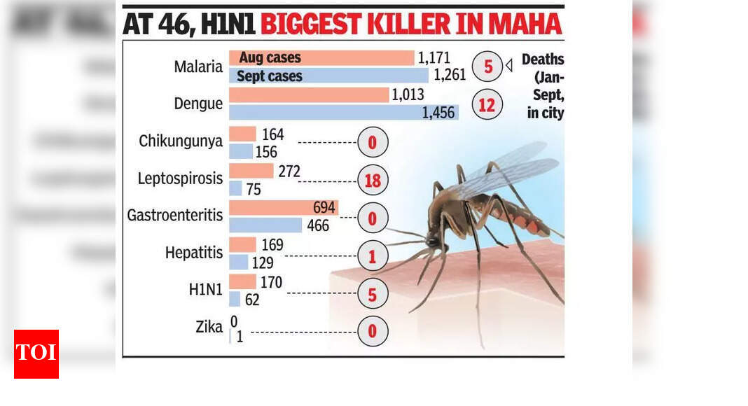 Mumbai Faces Surge in Dengue and Leptospirosis Deaths Amidst Monsoon ...