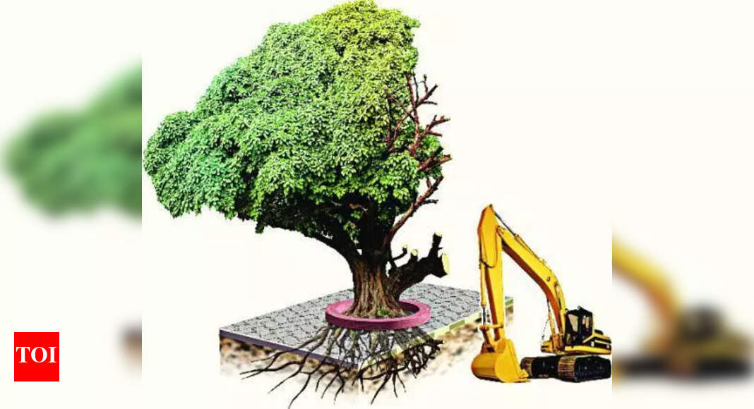 Illegal Tree Cutting: Rampant Illegal Tree Cutting in Bageshwar ...