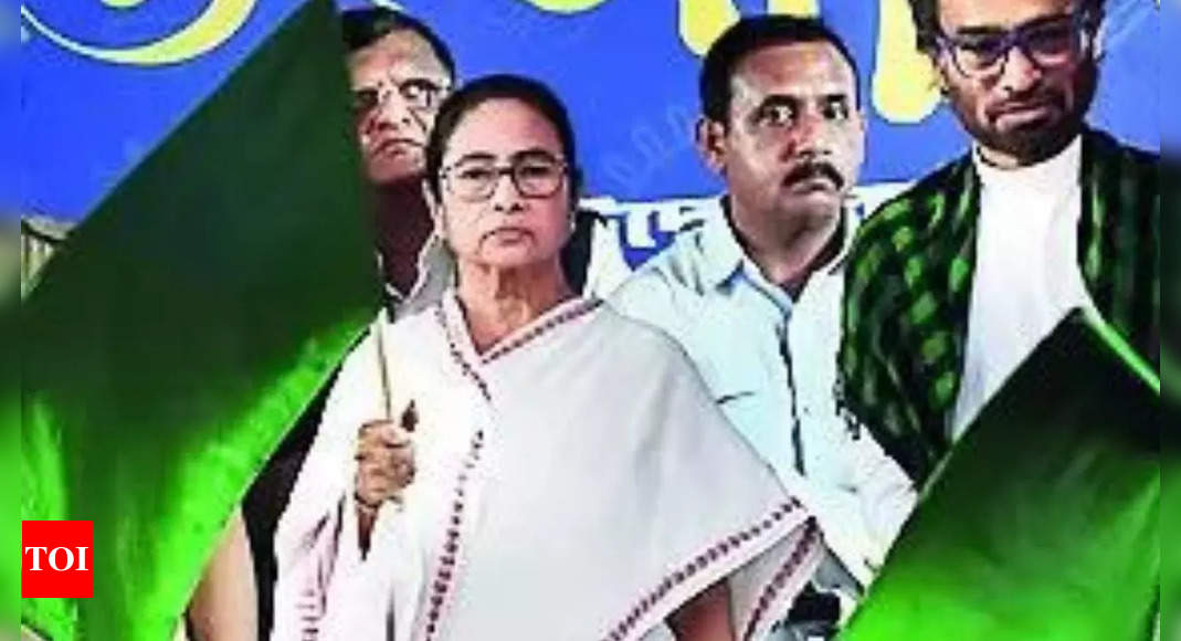 Goddess won’t smile if devotees don’t: West Bengal CM Mamata Banerjee