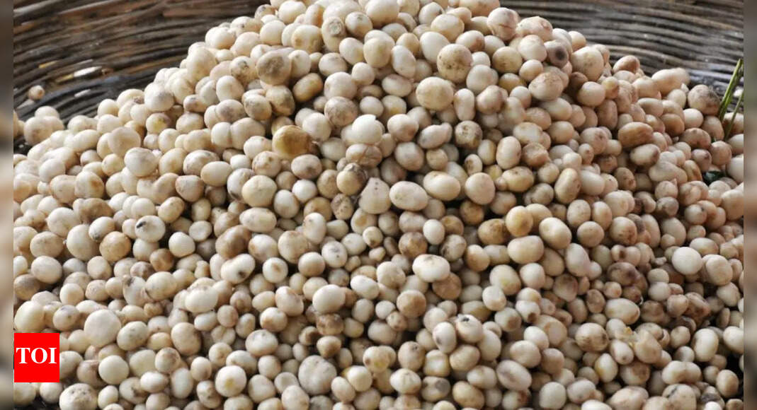 Rugda, non-vegetarians’ delight during Shravan | Ranchi News - Times of ...