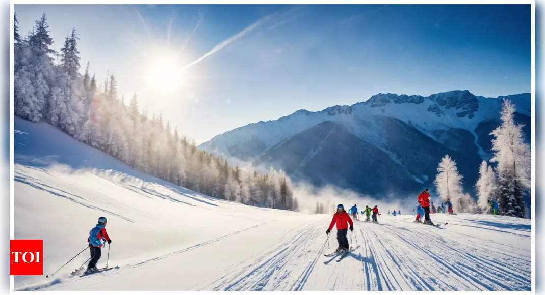 Skiing calls on UN climate science to combat melting future – Times of India