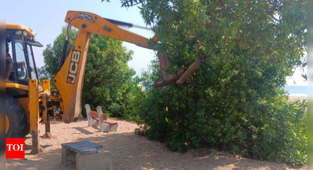 Health Issues Caused By News