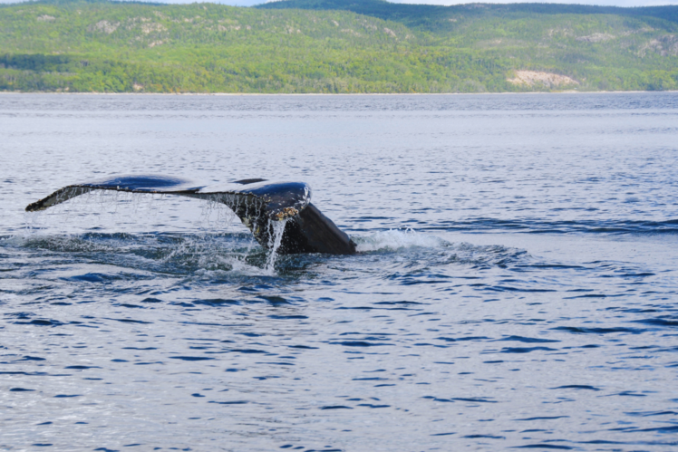 Tadoussac, Quebec